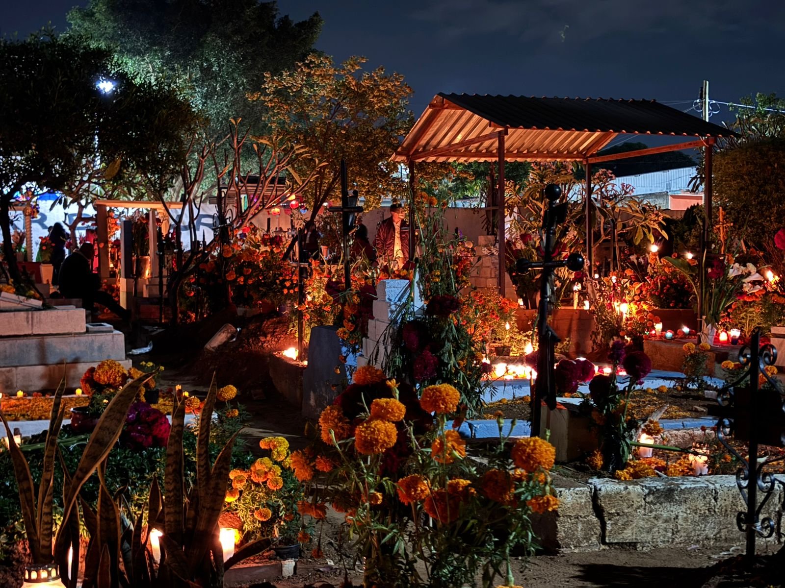 Día de Muertos: recorrido de panteones: fotografía 7