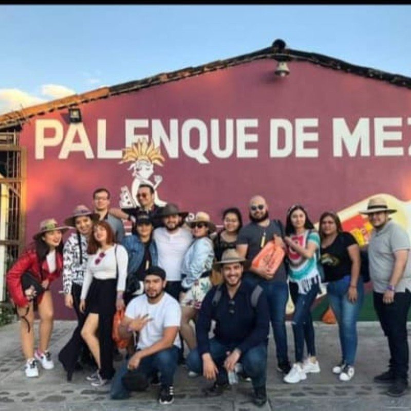 Hierve el Agua, Mitla, Tule, Teotitlán and Mezcal Tour: photo 6