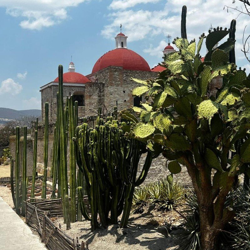 Hierve el Agua, Mitla, Tule, Teotitlán and Mezcal Tour: photo 8