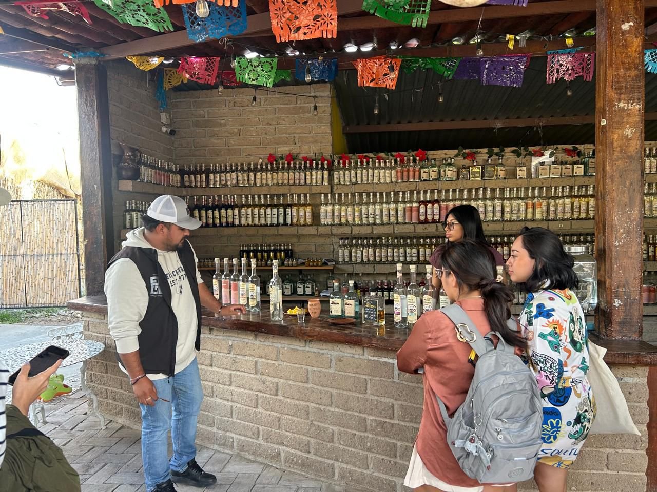 Hierve el Agua, Mitla, Tule, Teotitlán y Mezcal: fotografía 9