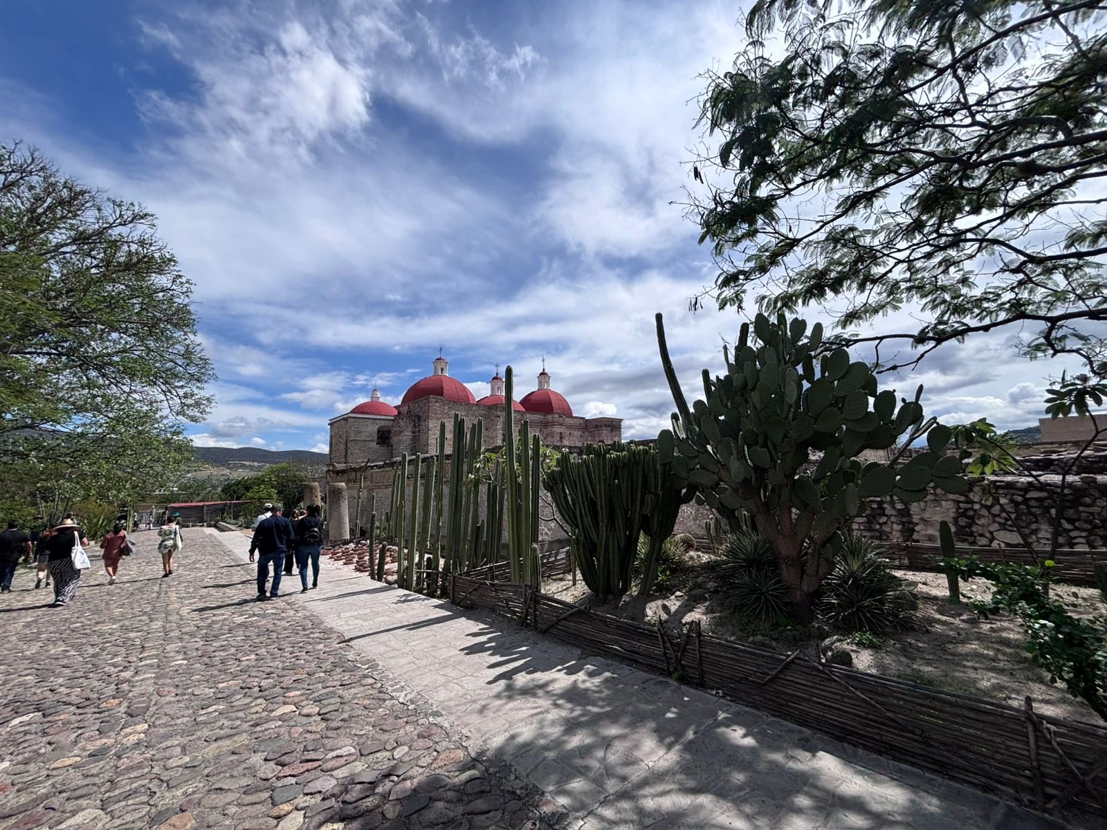 Hierve el Agua, Mitla, Tule, Teotitlán y Mezcal: fotografía 14