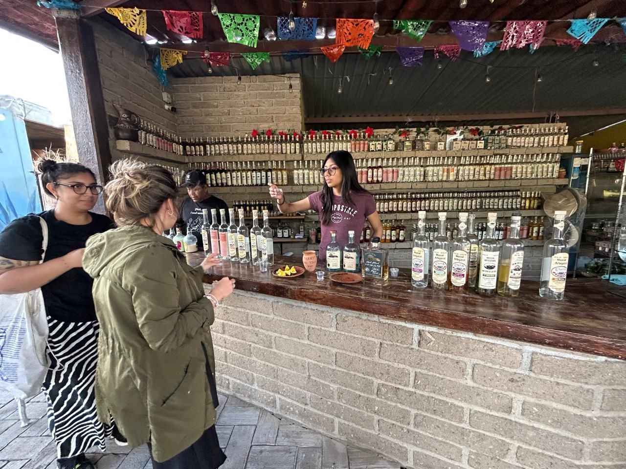 Hierve el Agua, Mitla, Tule, Teotitlán y Mezcal: fotografía 19