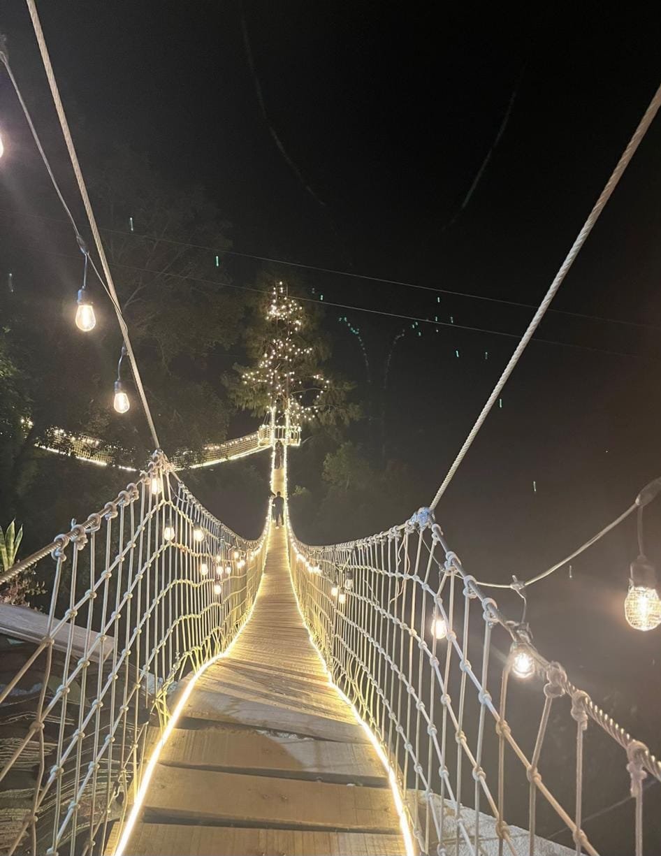 San José del Pacífico: bosque y aventura: fotografía 10