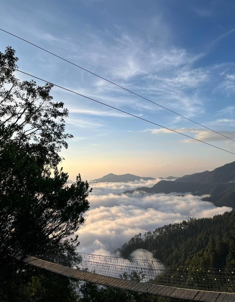 San José del Pacífico: bosque y aventura: fotografía 11