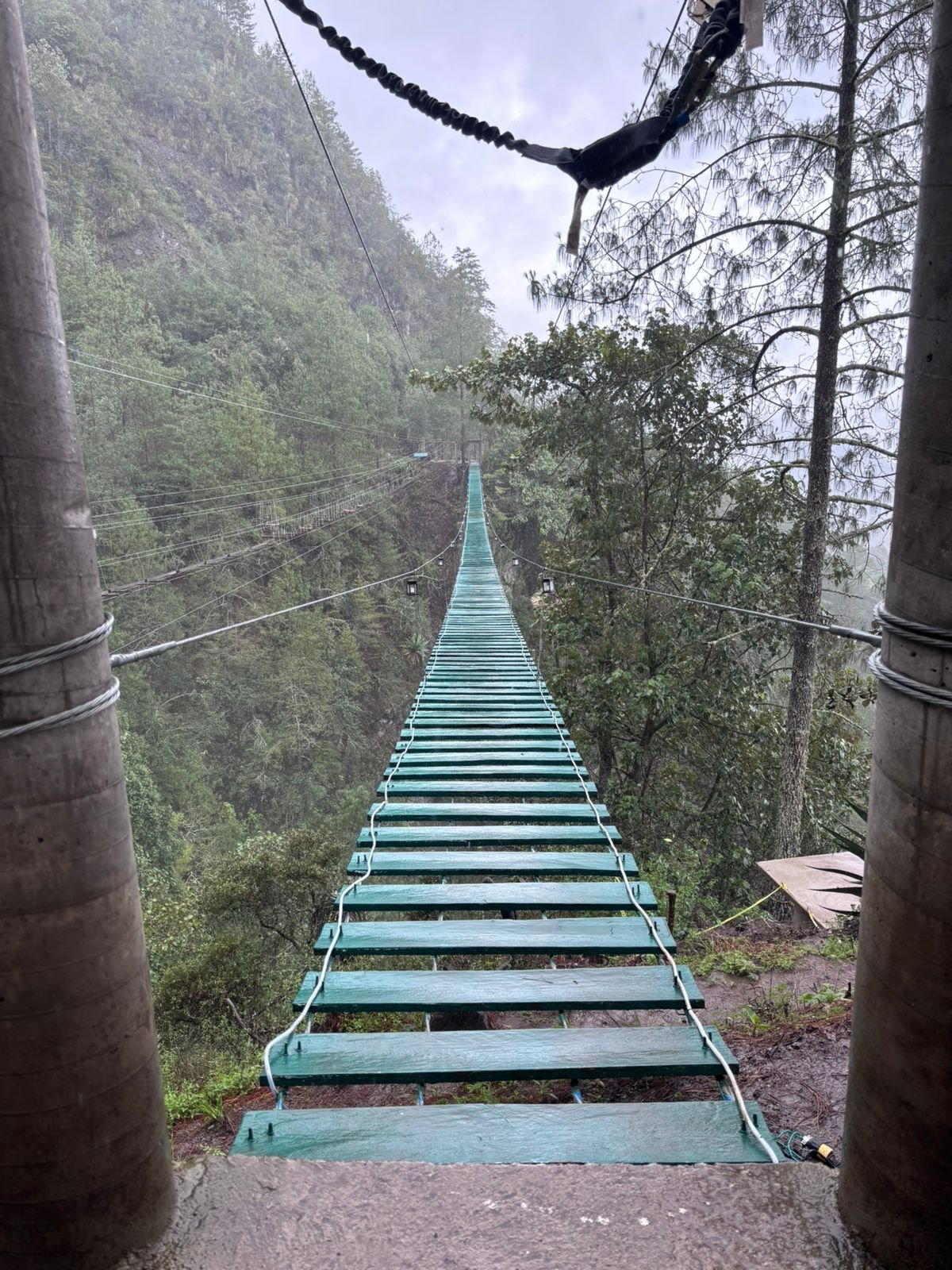 San José del Pacífico: bosque y aventura: fotografía 12