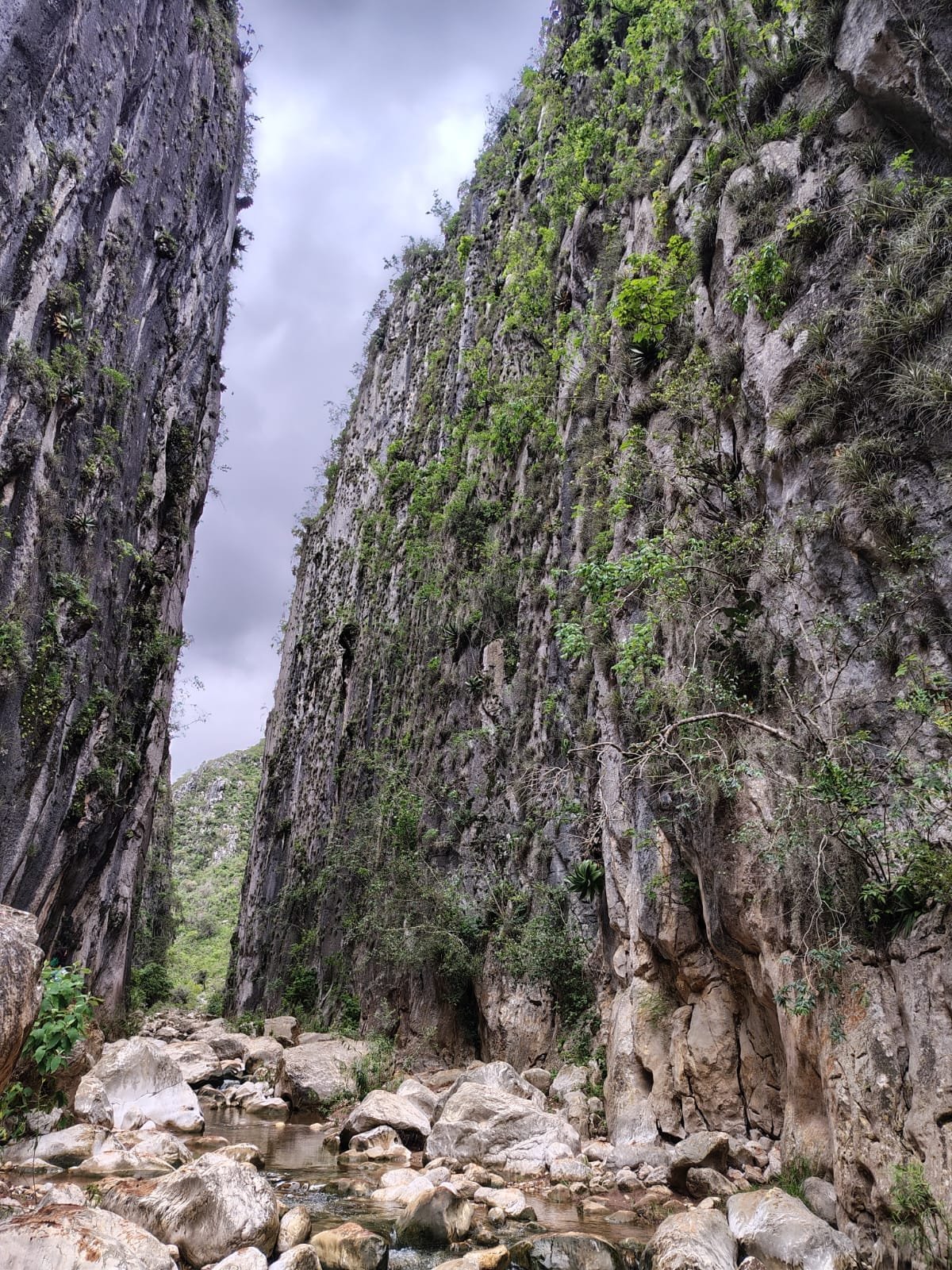 Santiago Apoala Waterfalls and Twin Cliffs Tour: photo 11
